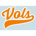 VFL41